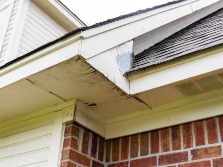 Siding-Replacement-Near-Me-Camas-WA
